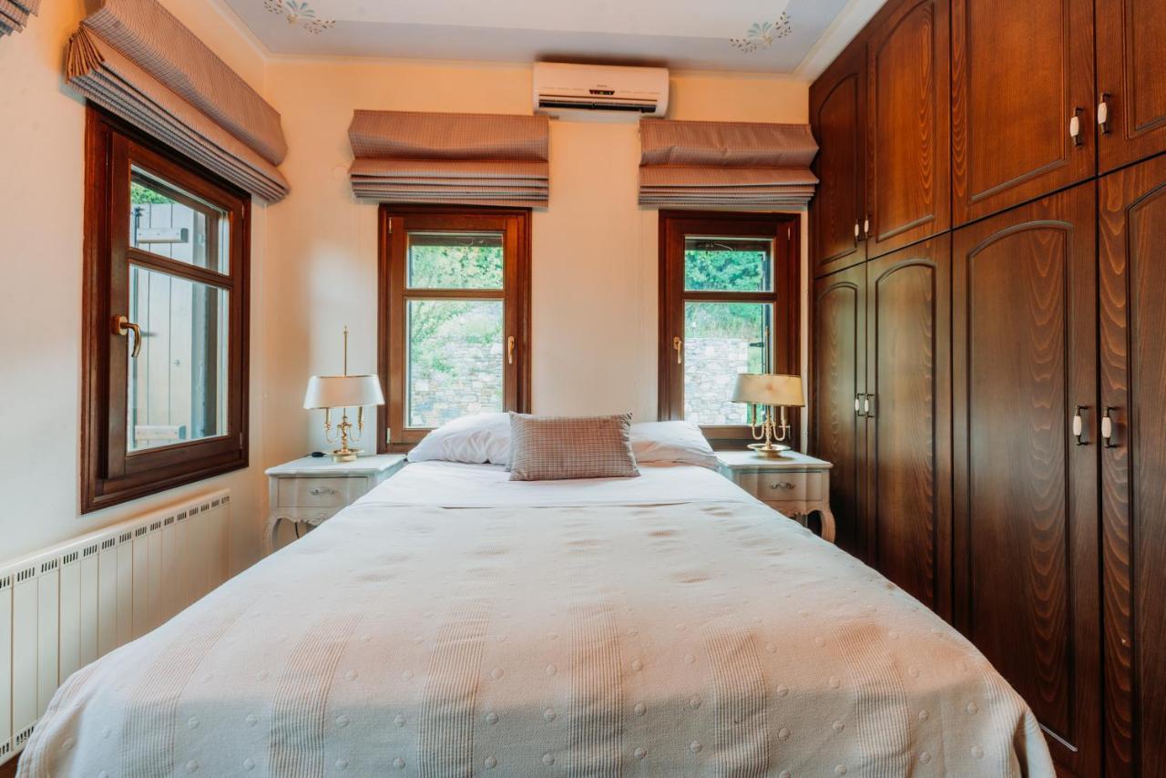 Elysian Luxury Villa Pelion Tsagkarada Extérieur photo